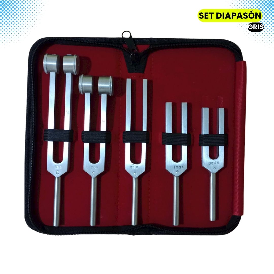 Set Diapason 128, 256, 512, 1024, 2048hz Ogdmve Fonoaudiologia